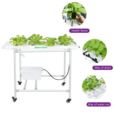 China Farms Food grade pvc vertical hydroponics nft system nft channel hydroponic growing systems for leafy vegetables for sale