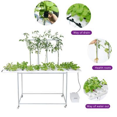 China Farms Agricultural greenhouse indoor vertical pvc pipe nft hydroponic system hydroponic grow system for sale