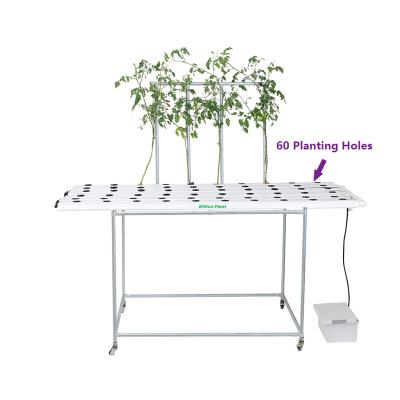 China Farms Pvc nft channel hydroponic nft growing systems for farm cultivation for sale