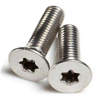 China Main Window Frame Flat Torx Screw schraube m5 Galvanized Stainless Steel Torx Screw for sale