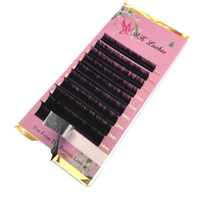 China Colorful Dispenser Own Brand Mega Volume Eyelash Extensions Quickly Fan Fast Blooming Lashes Different Silk Lashes for sale