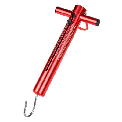 China 1-T-shaped handle for firmly holding 2-No-slip handle booms fishing hanging TS1 aluminum tube fish spring ladder with hook for sale