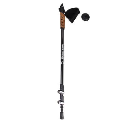 China CORK HANDLE Adjustable Discovery Adventure Carbon Fiber Trekking Poles Alpenstocks for sale