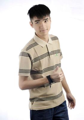 China Cotton Construction Polo Shirt In Mens Popular Striped T-Shirt for sale