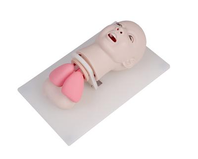 China School Model Child Endotracheal Intubation Teaching Model for sale