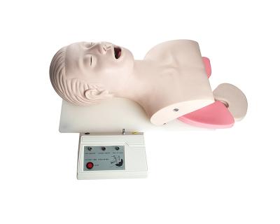 China School Model Advanced Endotracheal Intubation Teaching Model for sale