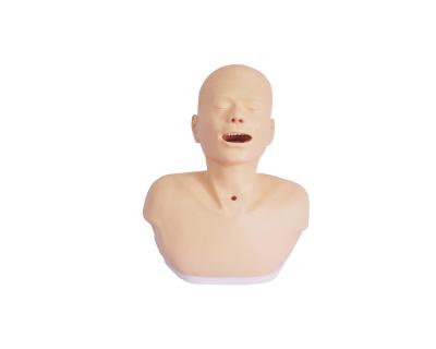 China School Teaching Model Tracheotomy Nursing Model for sale