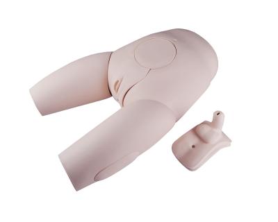 China School Model Gender Exchangeable Catheterization Teaching Model for sale