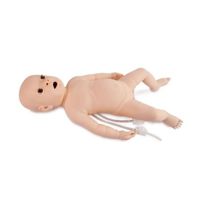 China School Teaching Infant Catheterization Model and Enema Model for sale