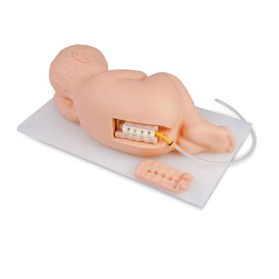 China School Model Infant Lumbar Puncture Teaching Model for sale