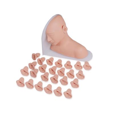 China School Ear Examination Model Teaching Model for sale