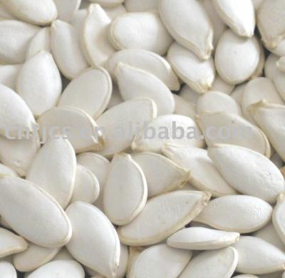 China Dry Chinese Snow White Pumpkin Seeds (Squash Seeds) for sale