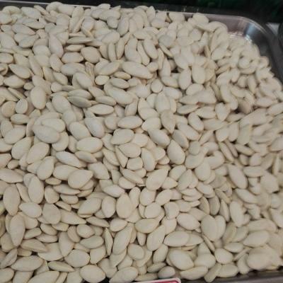 China Hiagh dry quality roasted and salted pumpkin seeds for sale