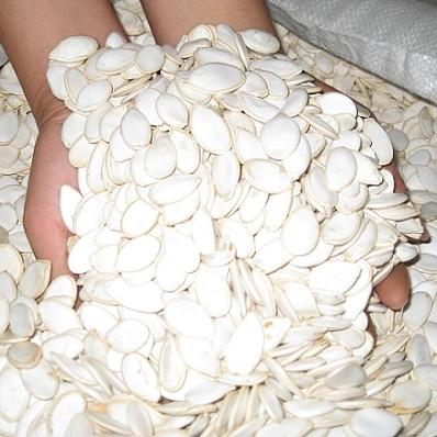 China Hiagh Quality Dry Pumpkin Seeds with Best Price for sale