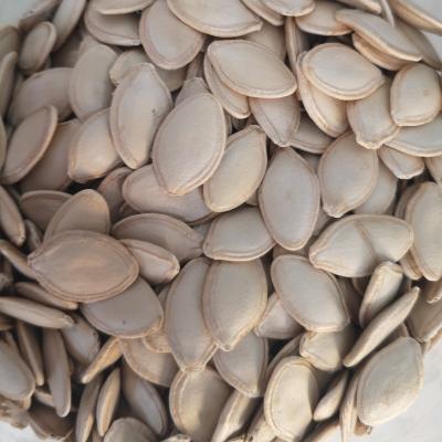 China High quality dry shine skin pumpkin seeds price is cheap for human consumption for sale