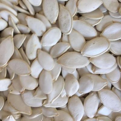 China Market price 11cm snow dry white pumpkin seeds with best quality for sale