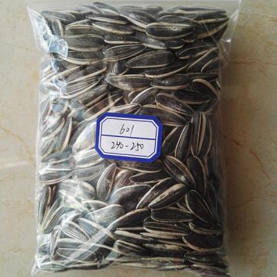 China High Quality Chinese Sunflower Seeds Dried 601 for sale