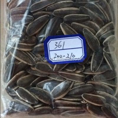 China Chinese high quality dried sunflower seeds with low price for sale