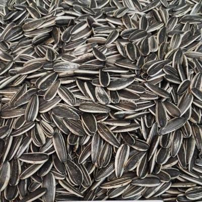 China Chinese High Quality Sunflower Seeds Dry 601 for sale