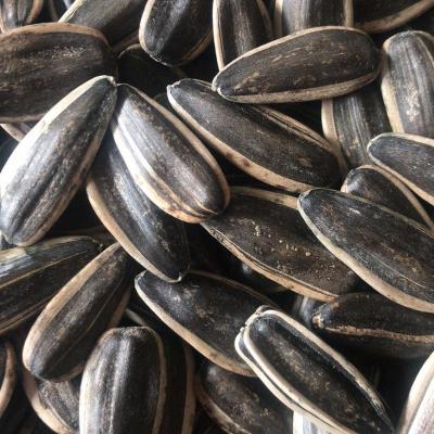 China High Quality Dry Sunflower Seeds 361 for sale