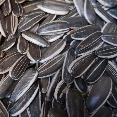 China Dried Chinese Sunflower Seeds Type 5009 In Shell for sale