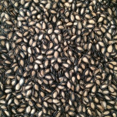 China Fried Black Watermelon Seeds with good quality and best price for sale