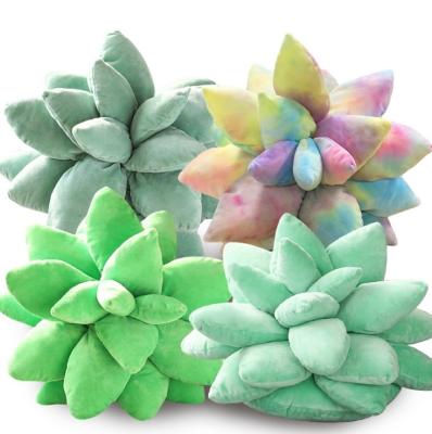 China 2021 new hot plush toy pillow 25cm size succulent pillow large 45cm for sale