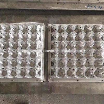 China Precision Aluminum Quality Manufacturer China Injection Plastic Egg Tray Mold for sale