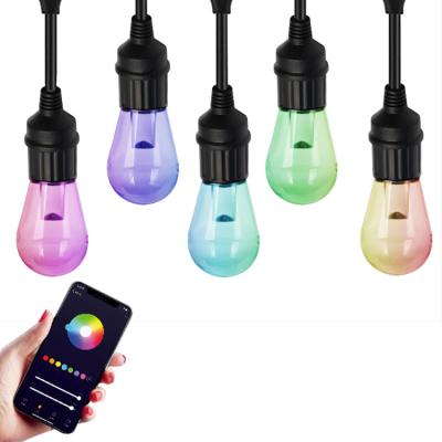 China TUYA APP Colored String TUYA Light Bulb Clear CCT + RGB LED Ball String Built-in Wifi Control IP65 Waterproof PC Lights Christmas for sale