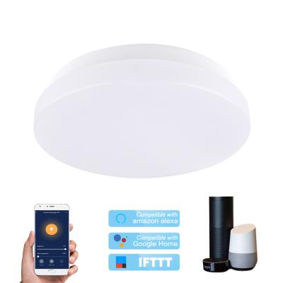 China Wifi APP Control RGBW Adjustable TDC Outdoor Ceiling Lamp Smart LED Outdoor Mounted Ceiling Light for sale