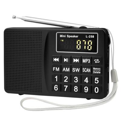 China LCJ L-258 PORTABLE portable digital multi band mw am fm switch radio receiver with usb tf sd card slot for sale