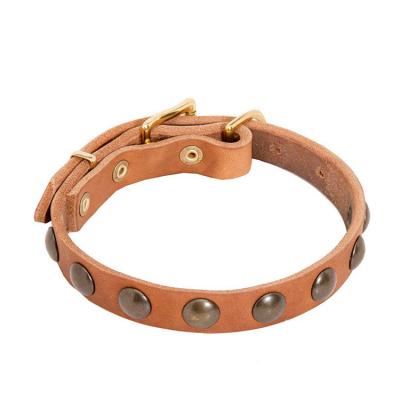 China 2022 Hot Selling Amazon Viable New Arrival Customized Cheap Dog Trainer Leather Collar Dog Collars With Heavy Duty Solid Brass Hardware for sale