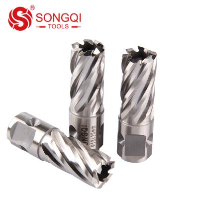 China High Quality HSS Aluminum Spindle Cutter High Speed ​​Steel Drill Bits China Produced for sale