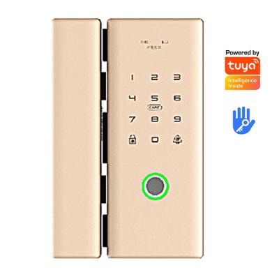 China 8-12MM or 40-80MM door lock electric glass door locks fingerprint lock BD security lok security smartsteps for sale