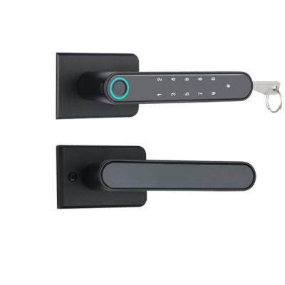 China 38-55MM smart master digital collection adobe hardware guangdong*hyh smart lock door latch fingerprint for sale