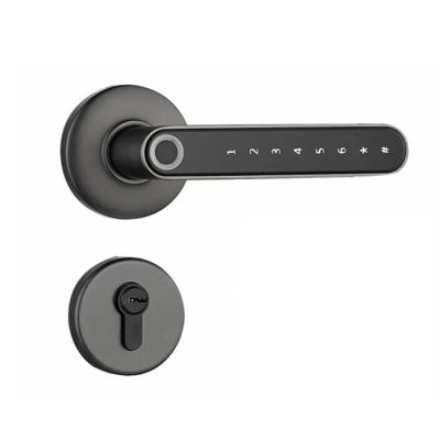 China 38-55MM handle collection smartsteps home electronics BD key lock fingerprint smart door lock Adobe security for sale