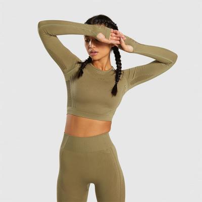 China Factory Price Antibacterial Active Wear Brand Antibacterial Fast Shipping Seamless Women Sport Wear Seamless Yoga Set for sale