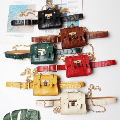 China Mini Leather Fanny Pack, Fashion Chain Belt Bag, Crocodile Leather Belt Water Proof Bags for sale