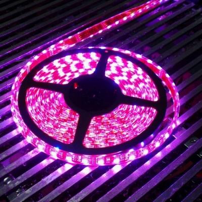 China LANDSCAPE RGB high brightness 12v rgb outdoor led strip light, 5050 rgb aluminum profile led strip light, 5050 led strip light for sale