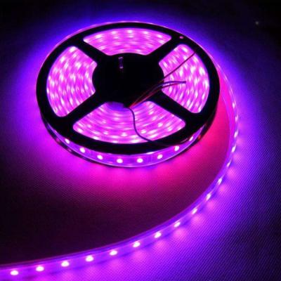 China Warehouse 12v Led Strip Light Indoor Outdoor 5050 CE, GS, ROHS, ETL for sale