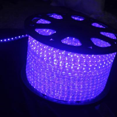 China 2020 Wholesale Highly Durable PVC LED Factory Holiday Decoration Christmas Lights Helmet Light Strip for sale