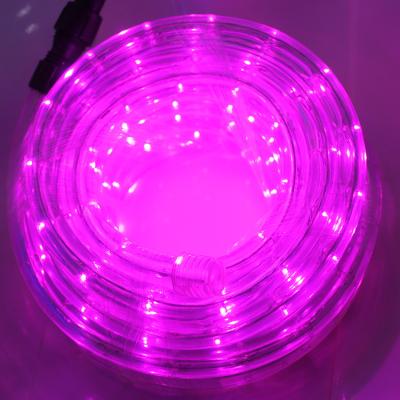 China 2020 Highly Durable New PVC Items Led Flex Rope Light Led Rope Neon Christmas Lights for sale