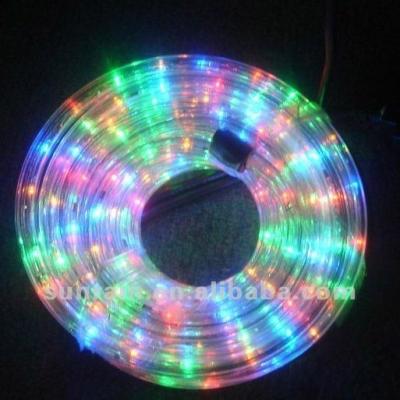 China Cheap Outdoor Led Christmas Rope Light SRL-RICE-2WIRES for sale