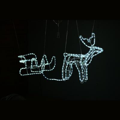 China Christmas Decoration Led Pattern Light Christmas Holiday Lights Led 3d Deer Pattern Light for sale