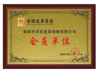 Verified China supplier - Fuyang Yanghong Leather Sales Co., Ltd.