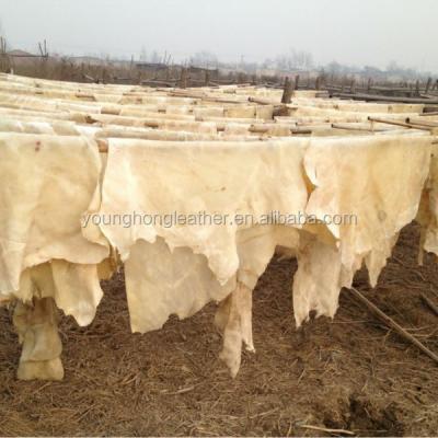 China Muslim Dry Food Cow Limed Split For Muslim Food for sale