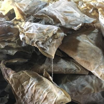 China Sustainable dry natural cow limed splits kulit sapi alami kering for rambak, biscuit, kiki sapi, muslim food for sale