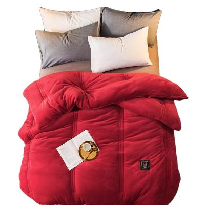 China King Flannel Anti Dust Mite Polyester Comforter Set Luxury Winter Comforter Set Comforter Set for sale