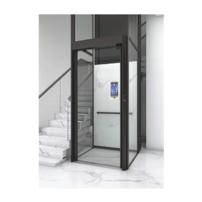 China Modern Safety System Diverse Site Layout Intelligent Platform Elevator for sale