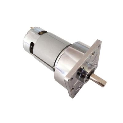 China Bringsmart Totally Enclosed 60GA775 High Torque 12V And 24V DC Gear Motor for sale